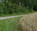 Joshofen Landschaft